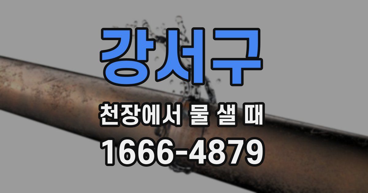 강서구 천장에서 물 샐 때