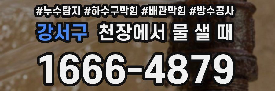 강서구 천장에서 물 샐 때