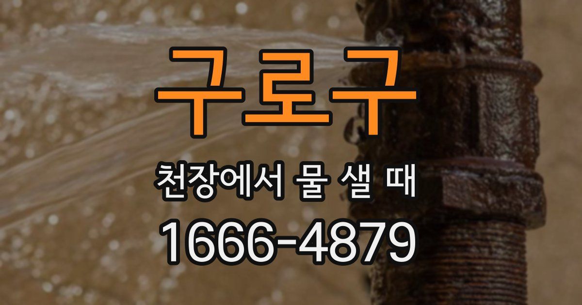 구로구 천장에서 물 샐 때