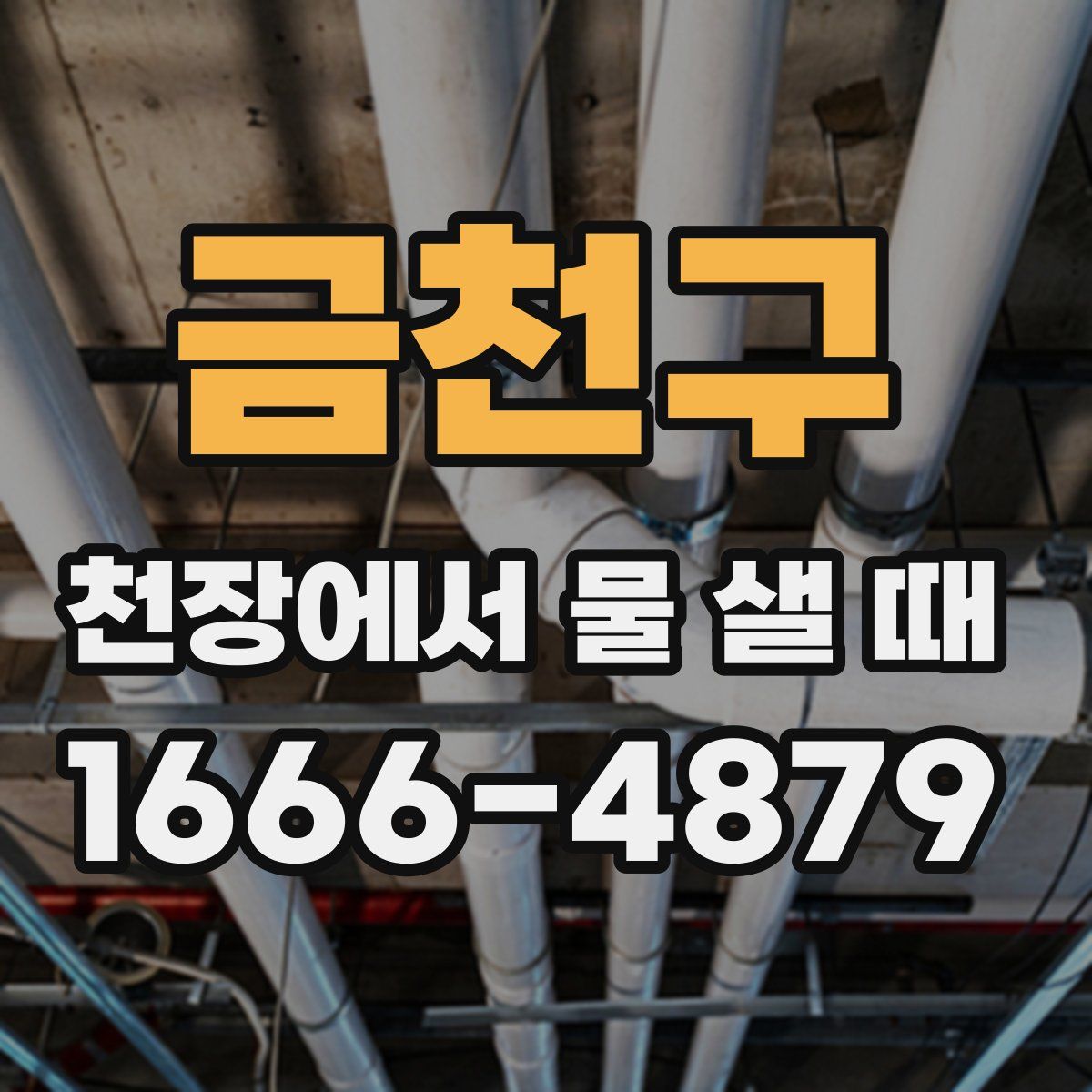 금천구 천장에서 물 샐 때