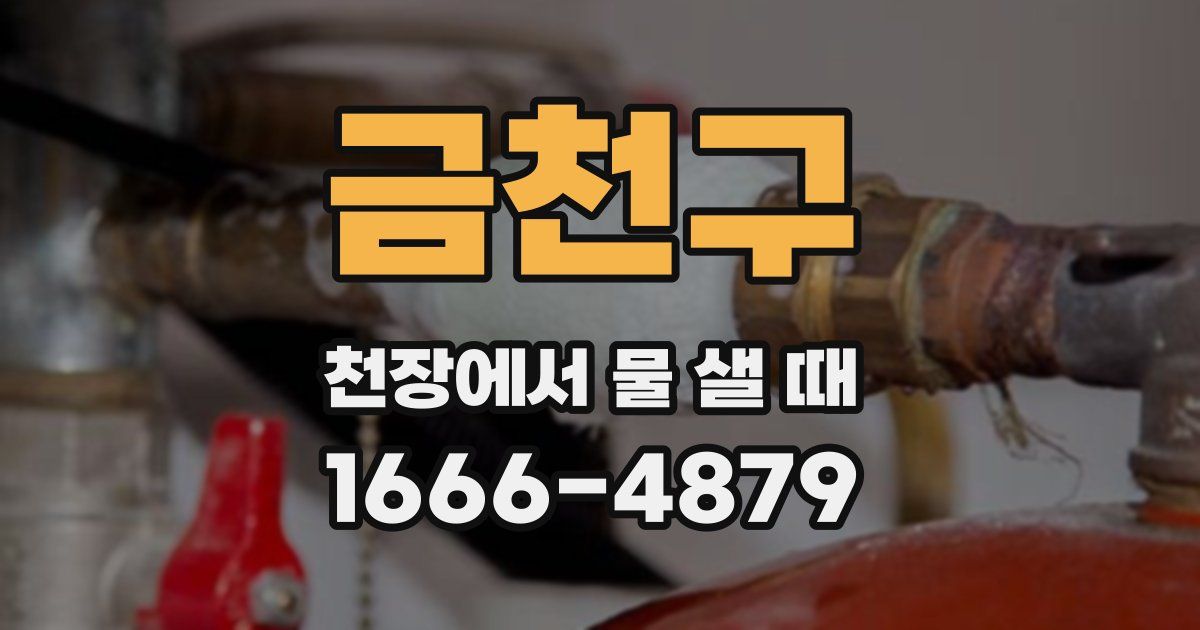 금천구 천장에서 물 샐 때