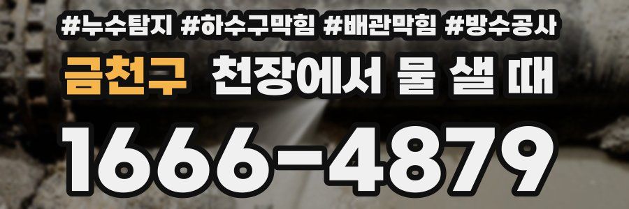 금천구 천장에서 물 샐 때