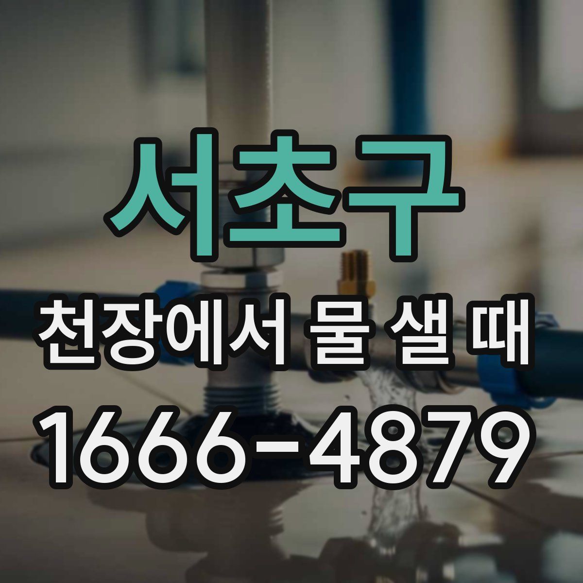 서초구 천장에서 물 샐 때