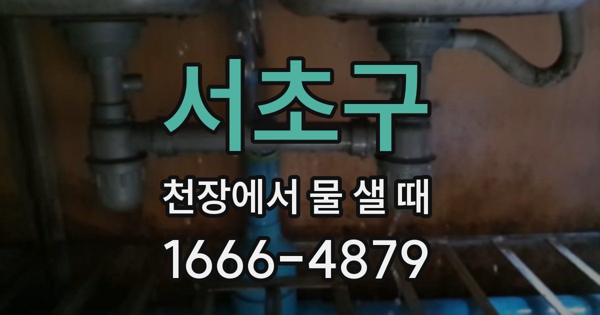 서초구 천장에서 물 샐 때