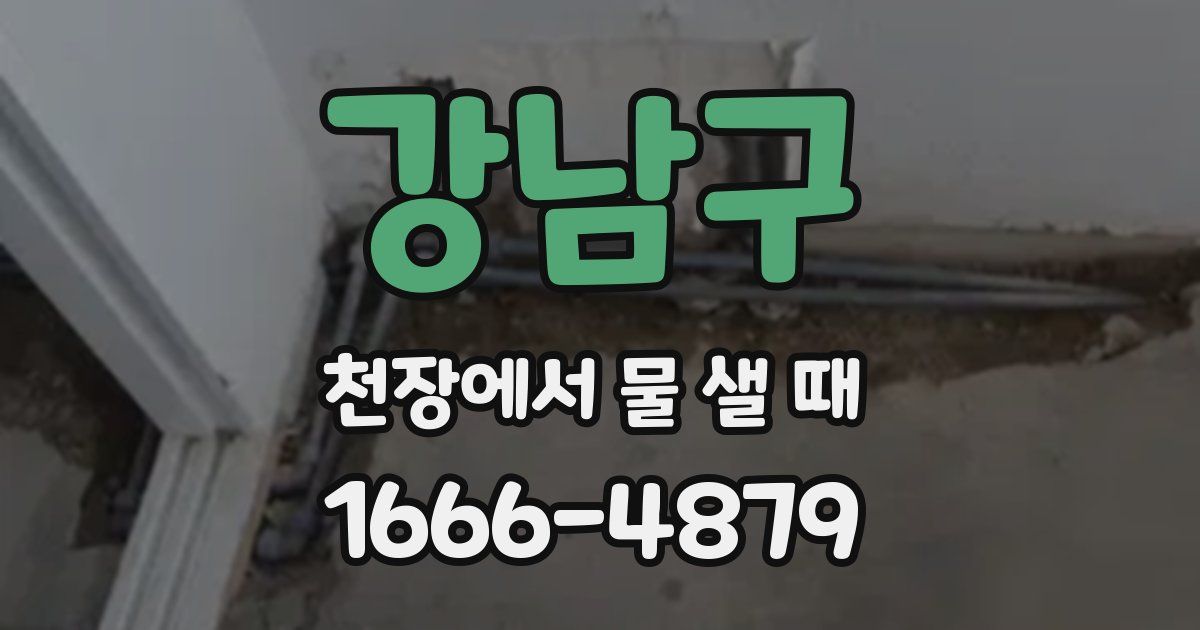 강남구 천장에서 물 샐 때