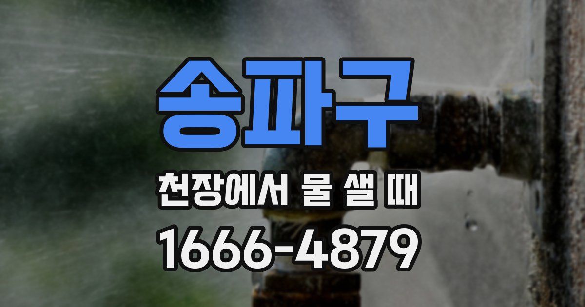 송파구 천장에서 물 샐 때