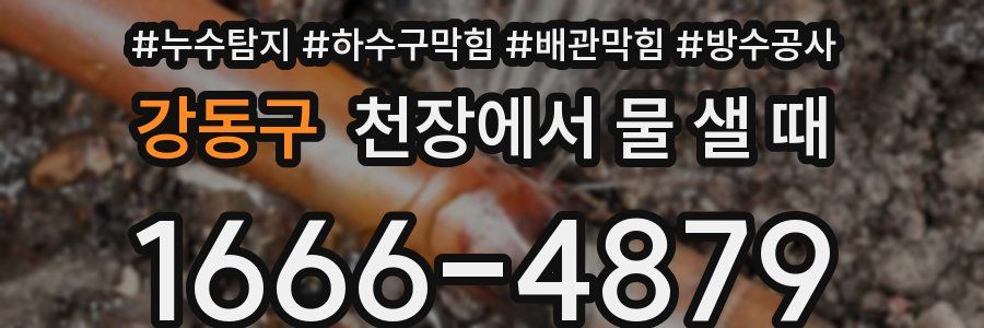 강동구 천장에서 물 샐 때
