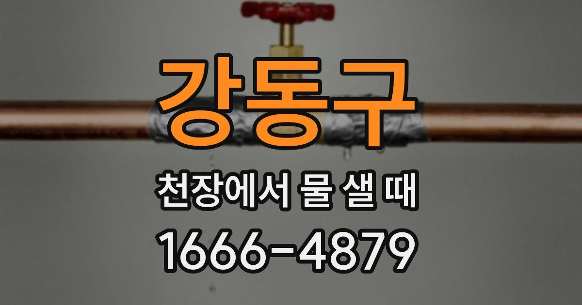 강동구 천장에서 물 샐 때