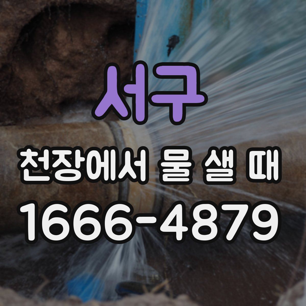 서구 천장에서 물 샐 때
