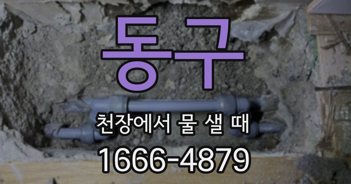 동구 천장에서 물 샐 때