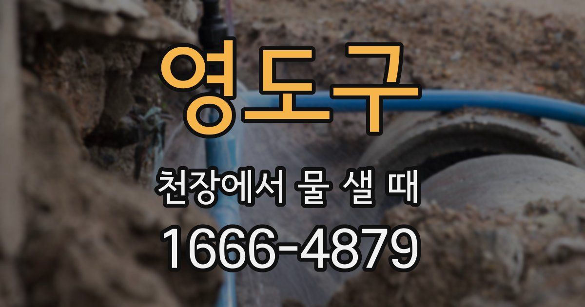 영도구 천장에서 물 샐 때