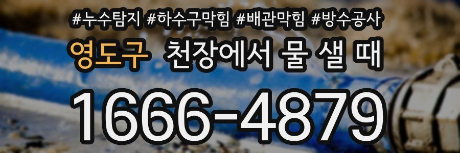 영도구 천장에서 물 샐 때