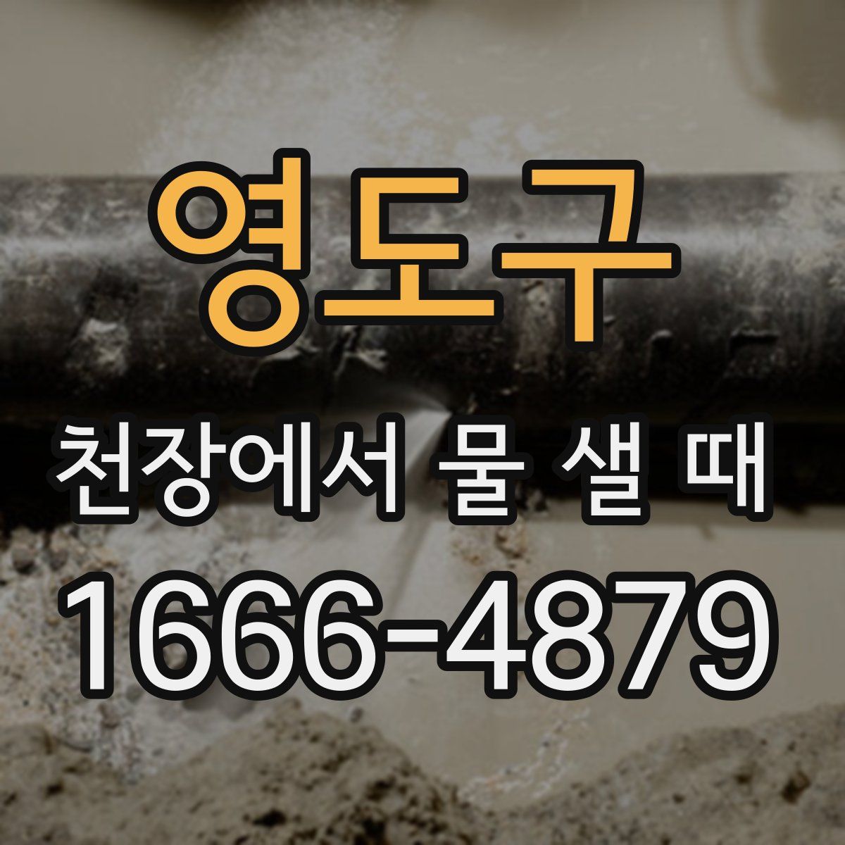 영도구 천장에서 물 샐 때