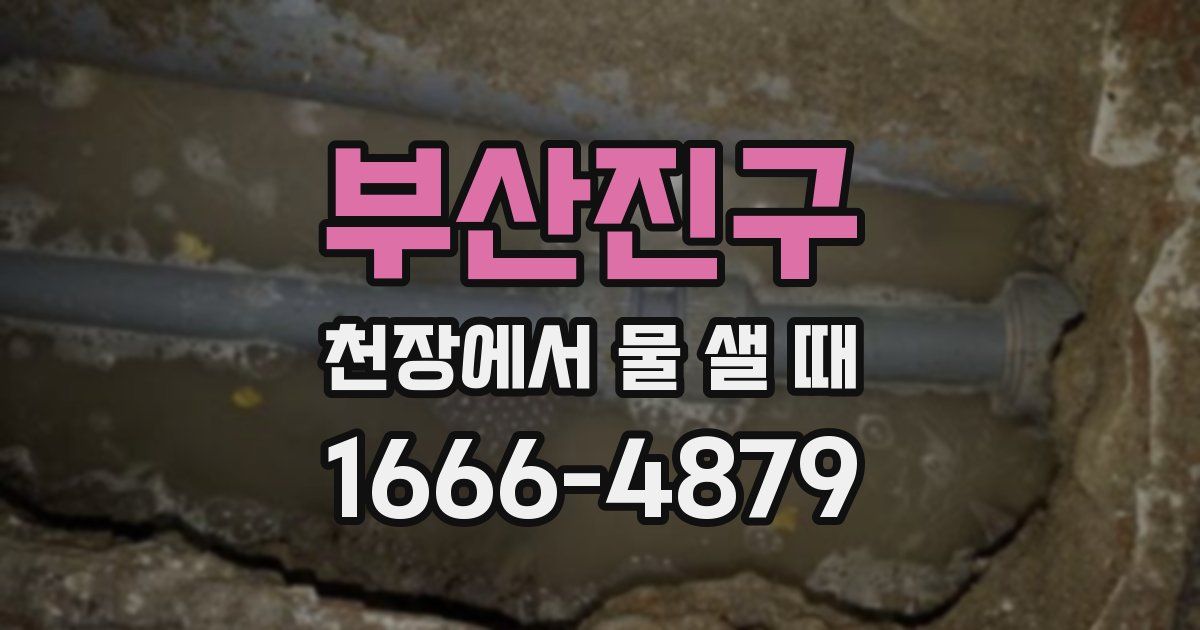 부산진구 천장에서 물 샐 때