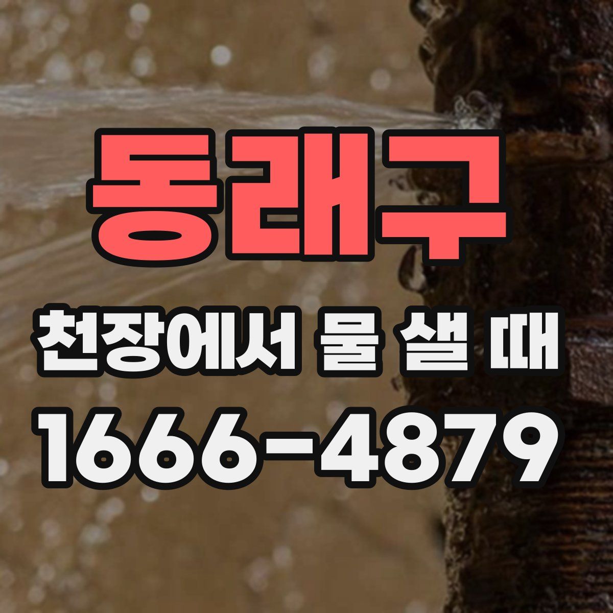 동래구 천장에서 물 샐 때