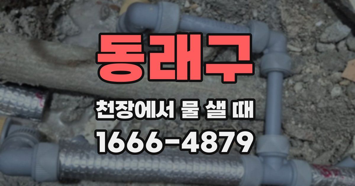 동래구 천장에서 물 샐 때