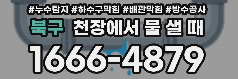 북구 천장에서 물 샐 때