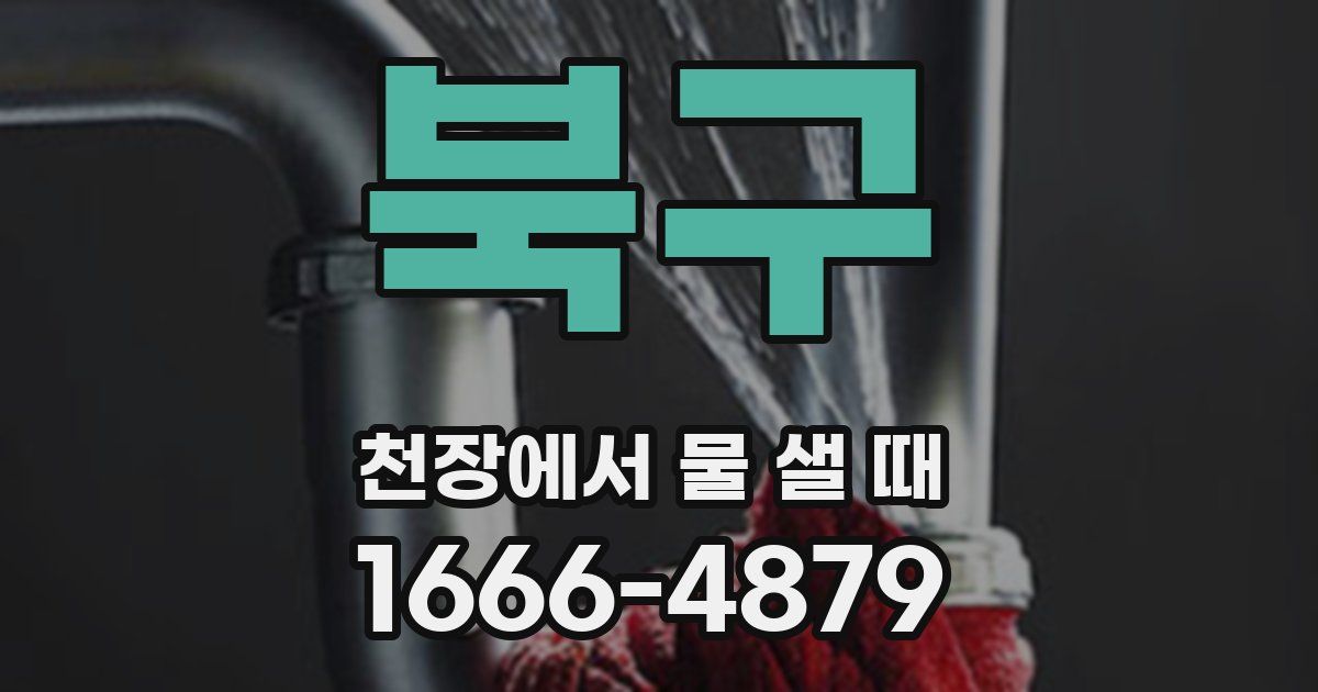 북구 천장에서 물 샐 때