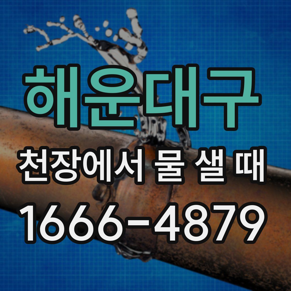 해운대구 천장에서 물 샐 때