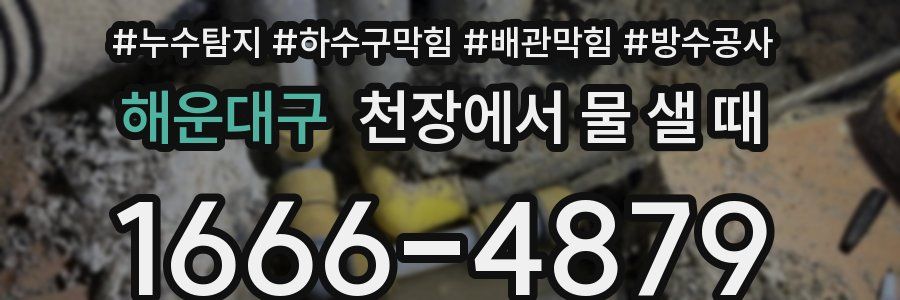 해운대구 천장에서 물 샐 때