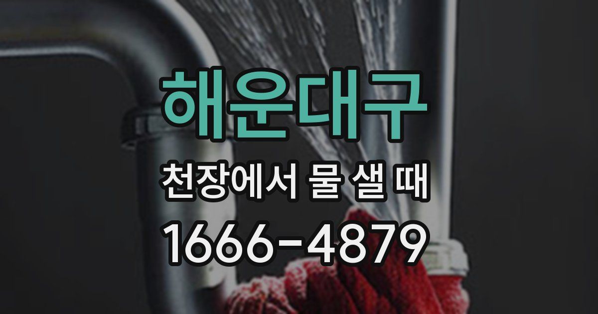 해운대구 천장에서 물 샐 때