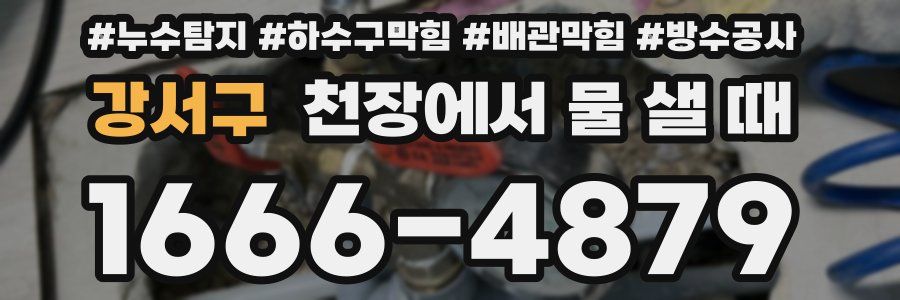 강서구 천장에서 물 샐 때
