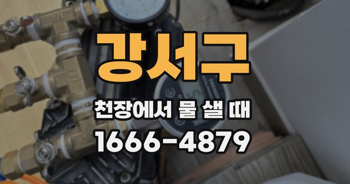 강서구 천장에서 물 샐 때