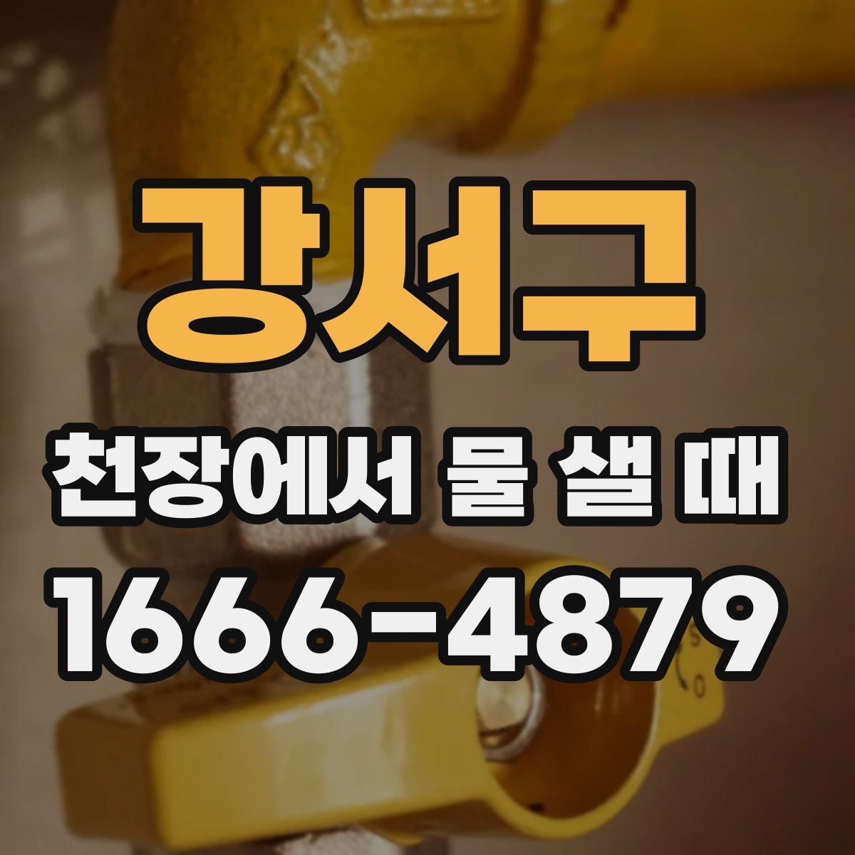 강서구 천장에서 물 샐 때