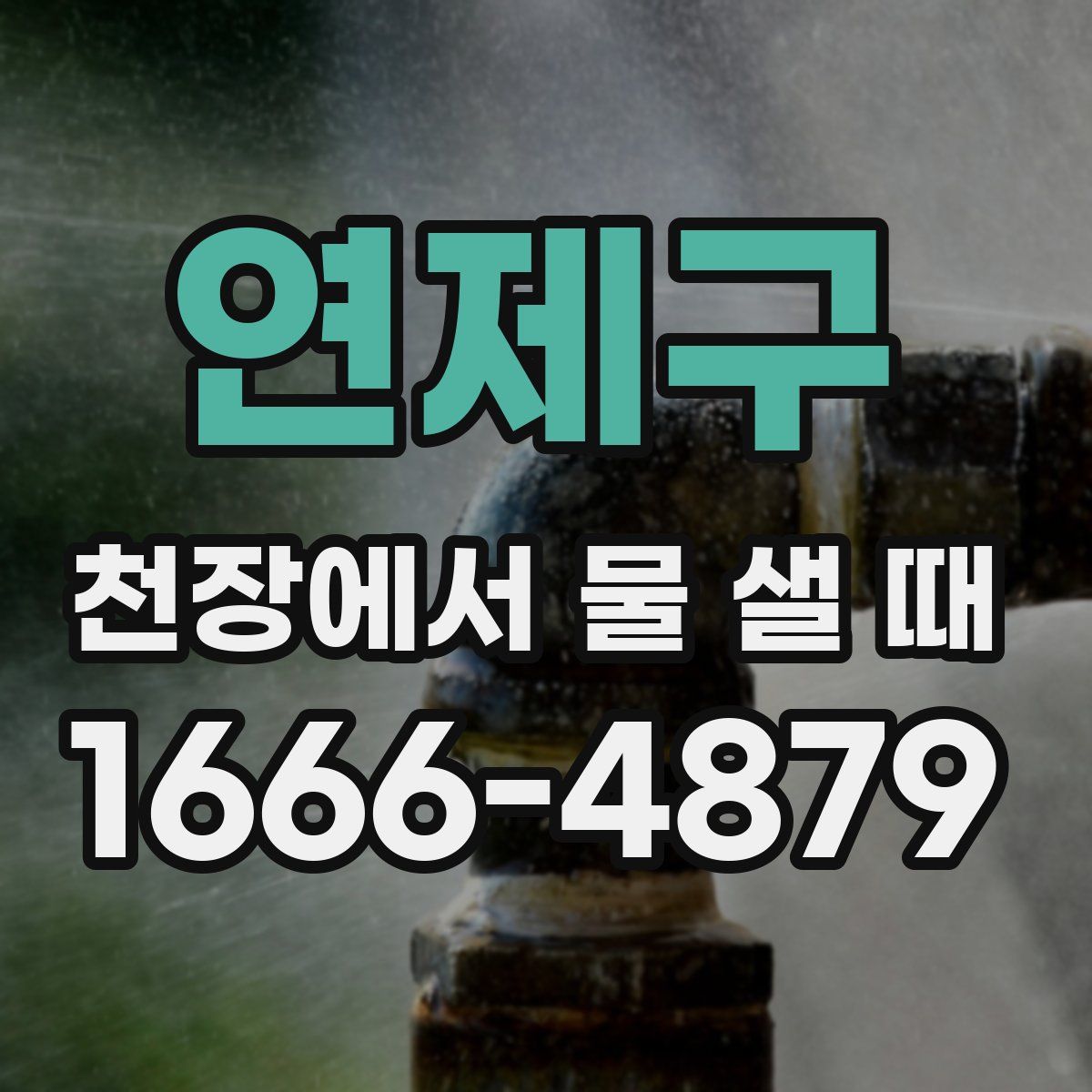 연제구 천장에서 물 샐 때
