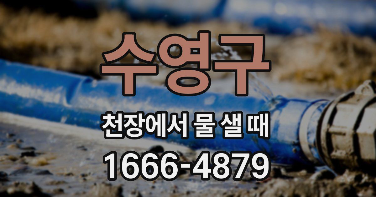 수영구 천장에서 물 샐 때