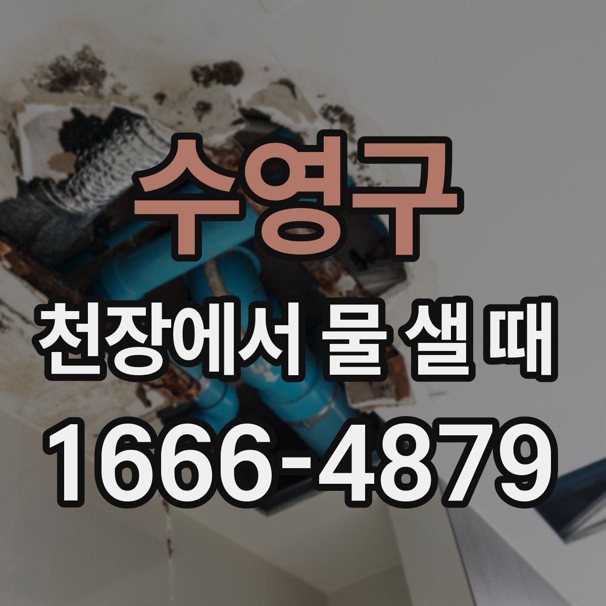 수영구 천장에서 물 샐 때