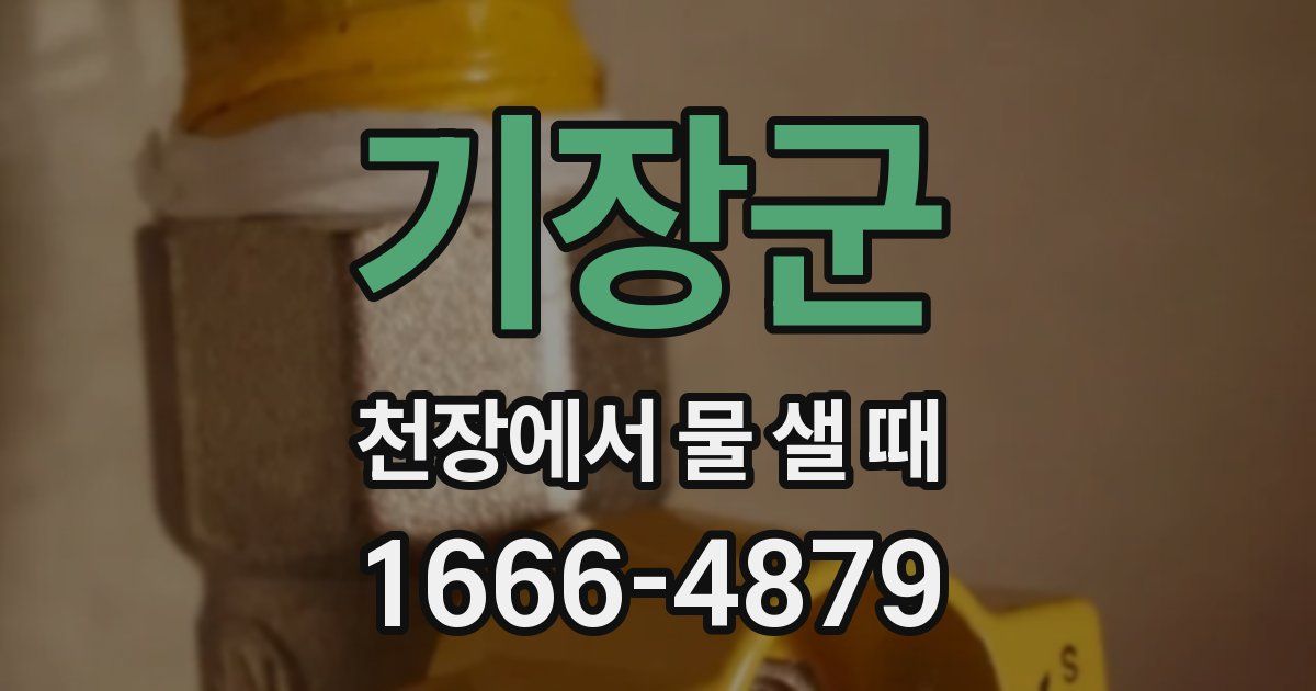 기장군 천장에서 물 샐 때