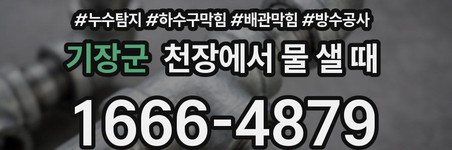 기장군 천장에서 물 샐 때
