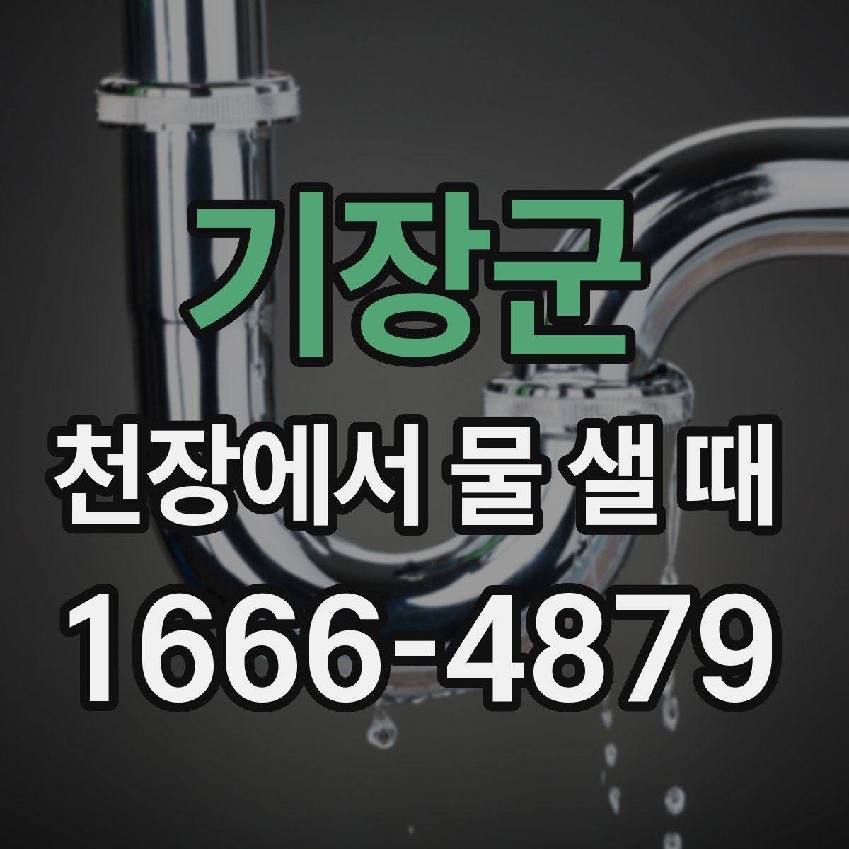 기장군 천장에서 물 샐 때