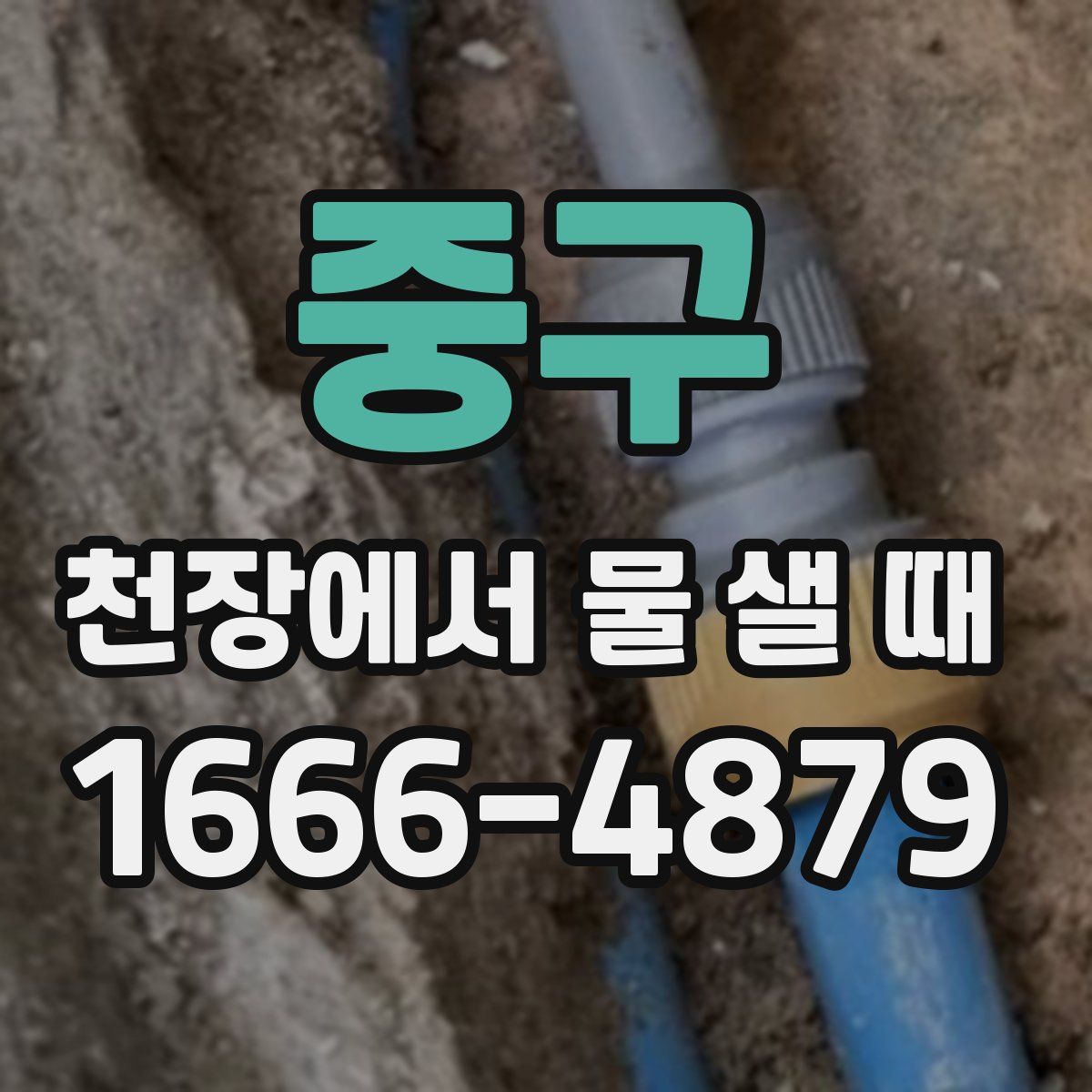 중구 천장에서 물 샐 때