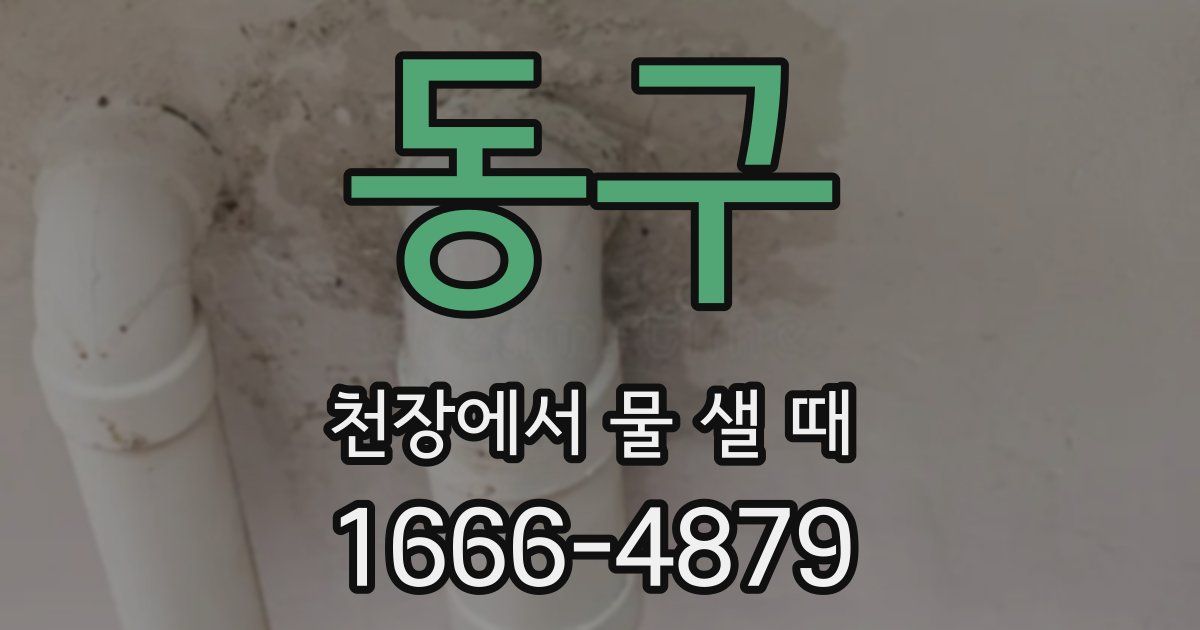 동구 천장에서 물 샐 때