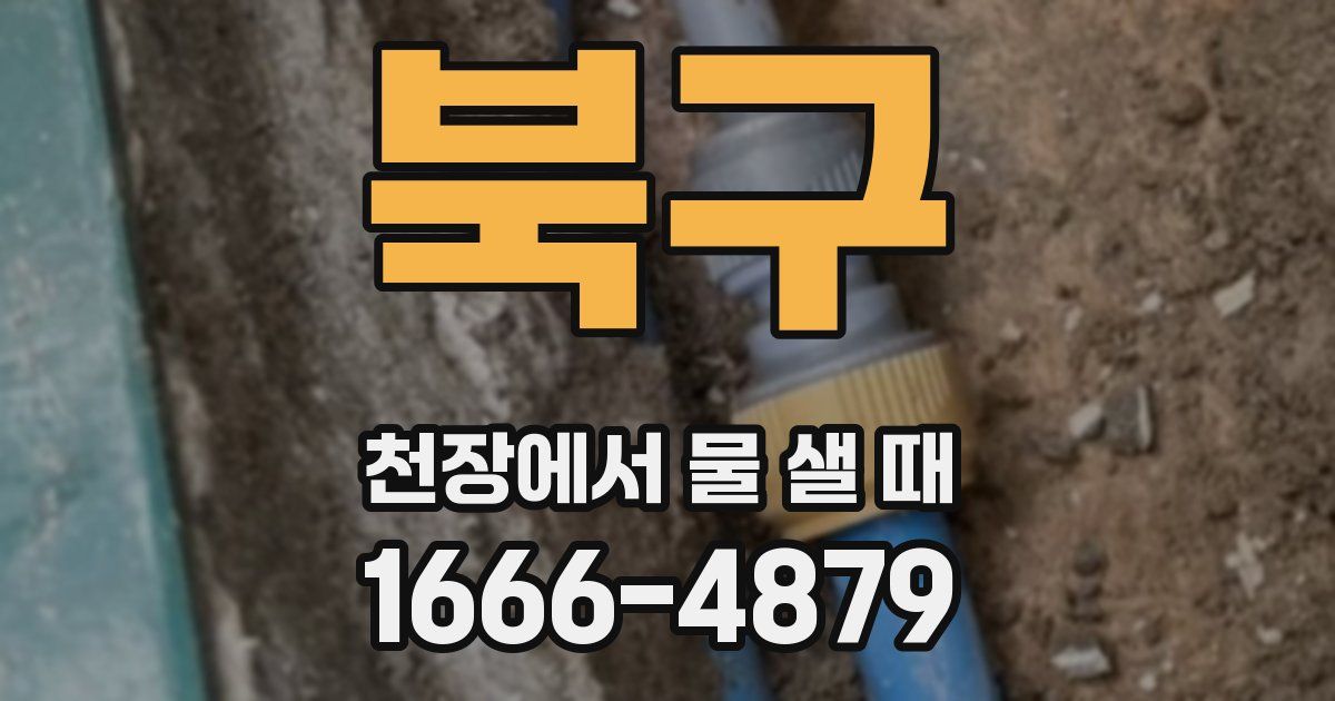 북구 천장에서 물 샐 때