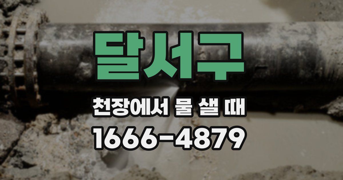 달서구 천장에서 물 샐 때