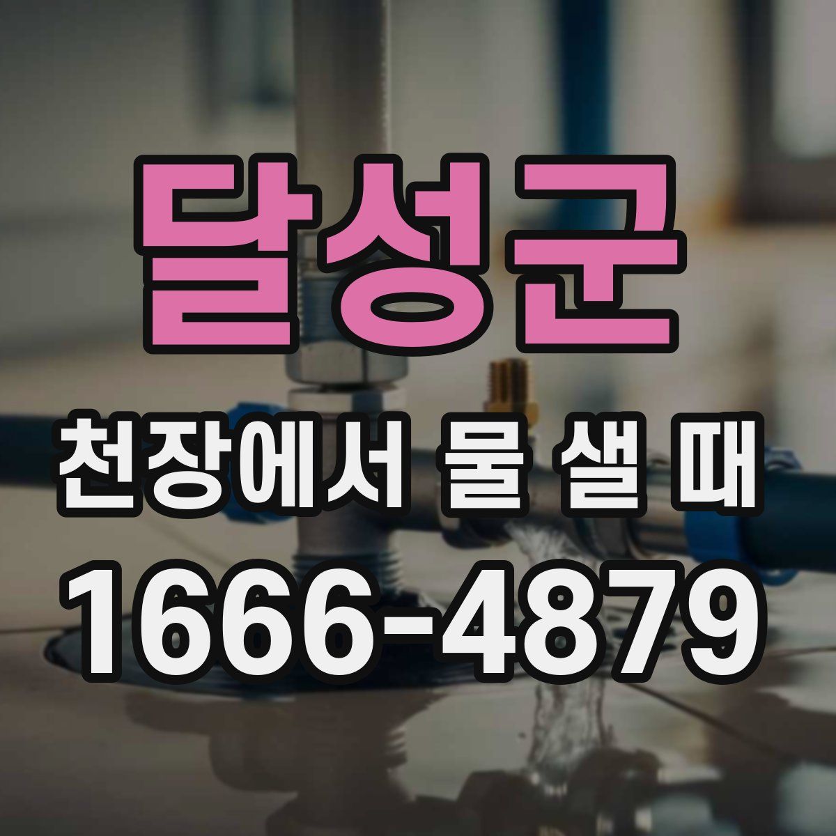 달성군 천장에서 물 샐 때