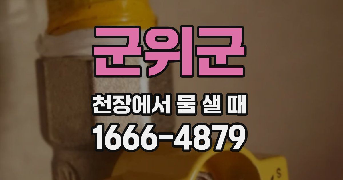 군위군 천장에서 물 샐 때
