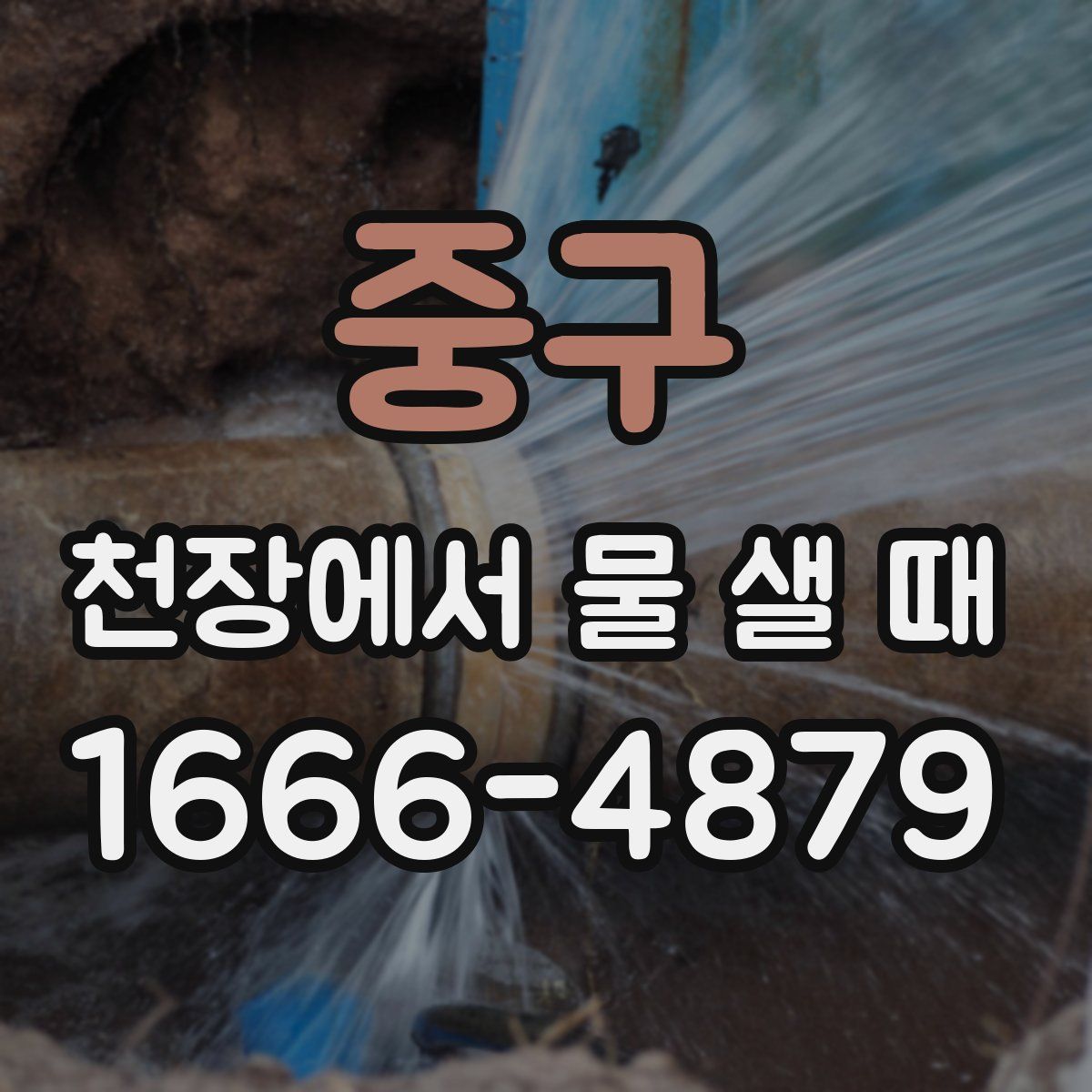 중구 천장에서 물 샐 때