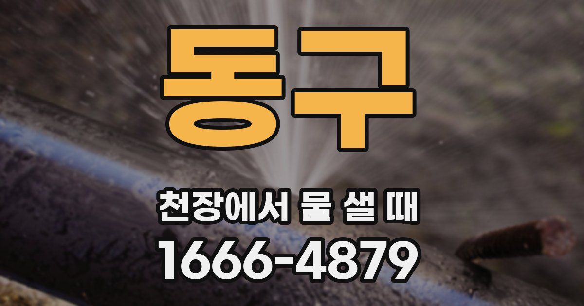 동구 천장에서 물 샐 때