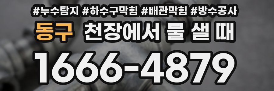 동구 천장에서 물 샐 때