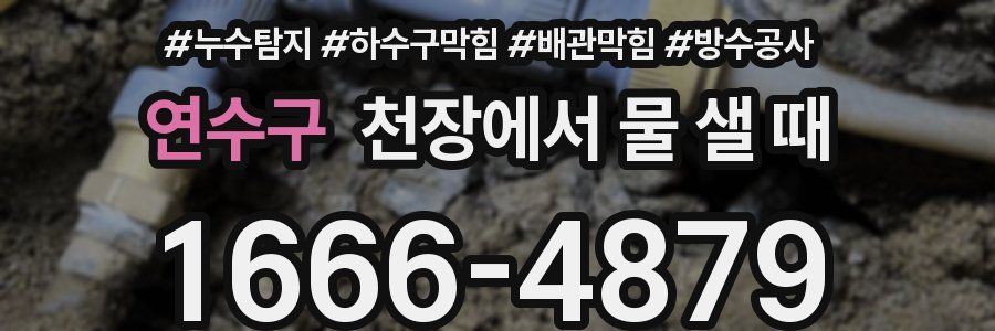 연수구 천장에서 물 샐 때
