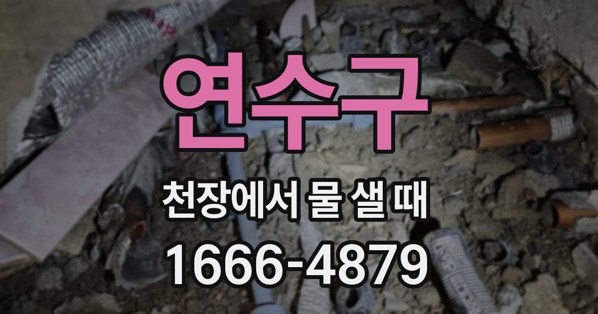 연수구 천장에서 물 샐 때