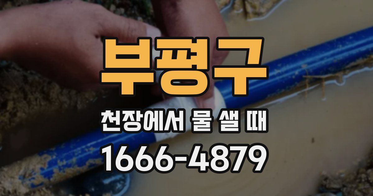 부평구 천장에서 물 샐 때