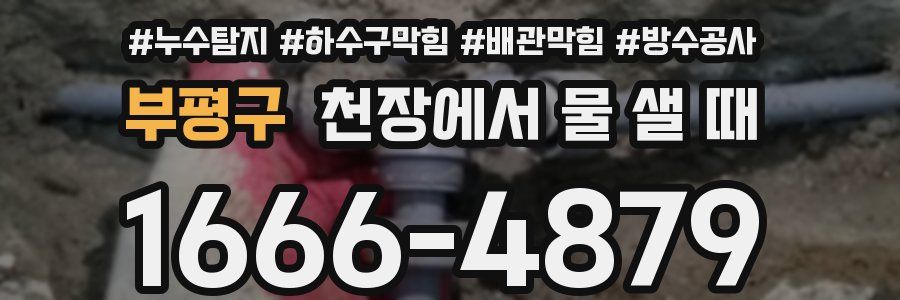 부평구 천장에서 물 샐 때