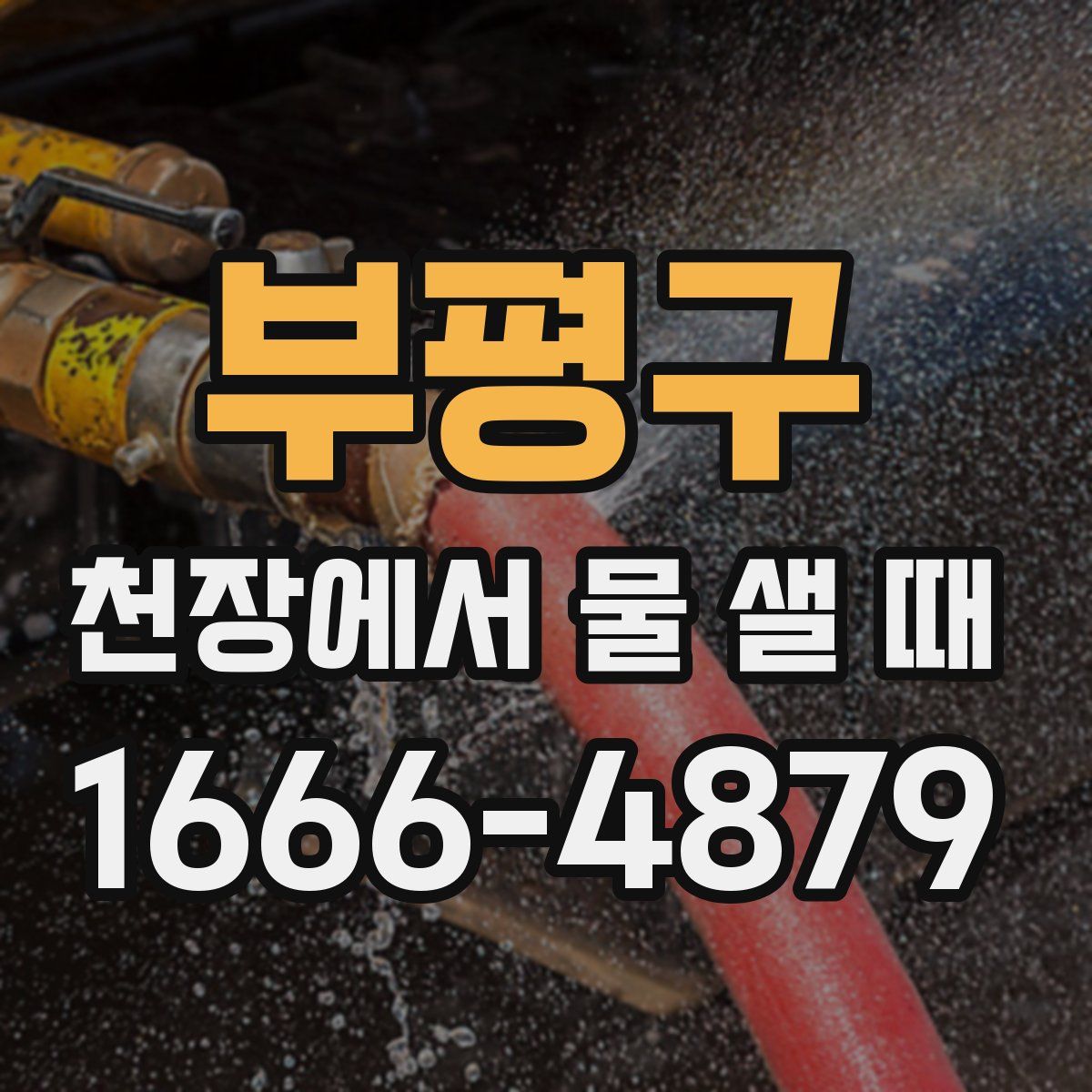 부평구 천장에서 물 샐 때