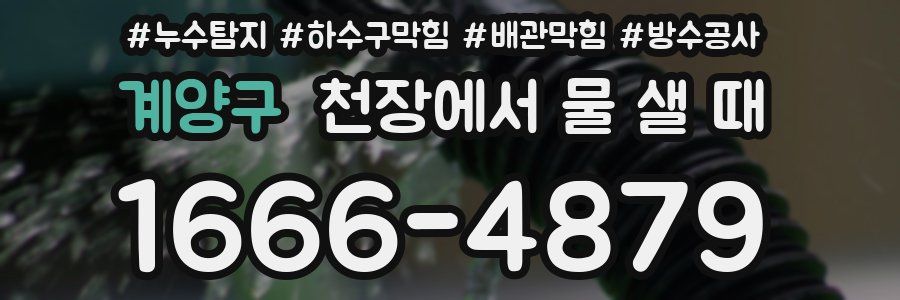 계양구 천장에서 물 샐 때