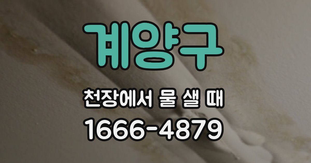 계양구 천장에서 물 샐 때